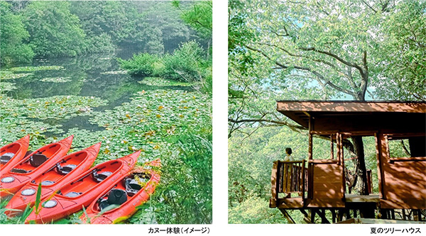 ROKKO森の音ミュージアム 夏イベントSIKIガーデンフェス2023 開催2023年7月15日（土）～17日（月・祝）