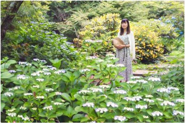 ROKKO森の音ミュージアム 夏イベントSIKIガーデンフェス2023 開催2023年7月15日（土）～17日（月・祝）