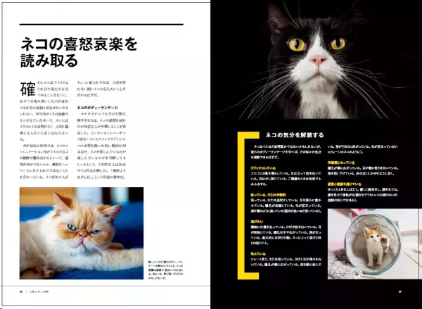 『ネコ全史君たちはなぜそんなに愛されるのか』5月31日（水）発売