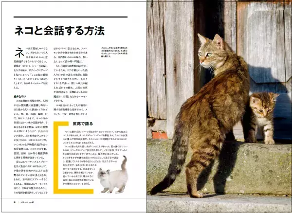 『ネコ全史君たちはなぜそんなに愛されるのか』5月31日（水）発売