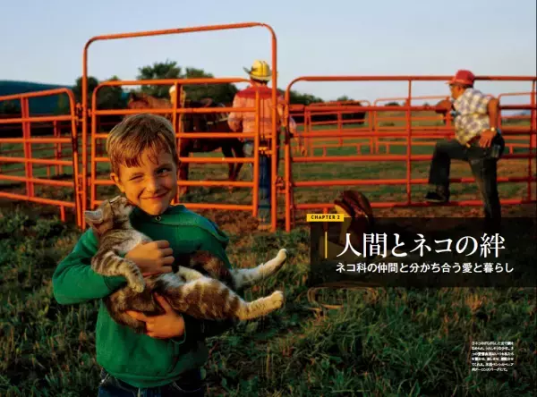 『ネコ全史君たちはなぜそんなに愛されるのか』5月31日（水）発売