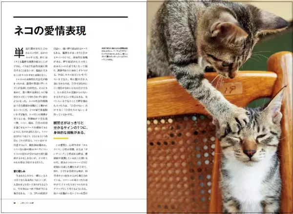 『ネコ全史君たちはなぜそんなに愛されるのか』5月31日（水）発売