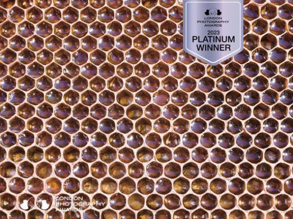 LONDON PHOTOGRAPHY AWARDSで東京工芸大学卒業生の写真家・渡辺一城さんが部門最高賞を受賞