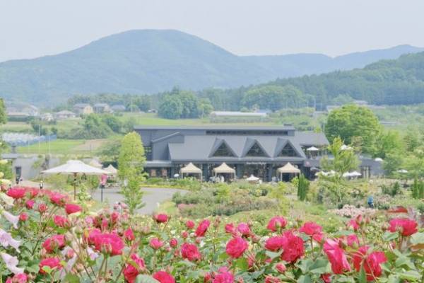 季節を彩る花と魚たちのコラボレーション！『ブルーミング アクアワールド・大洗～スプリング～』第2弾華麗な「春バラ水槽」が5月20日から登場！