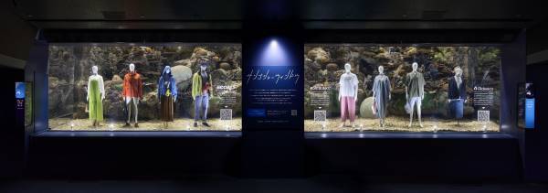 海遊館「サンゴショーウィンドウ」5/12～14の3日間限定で開催