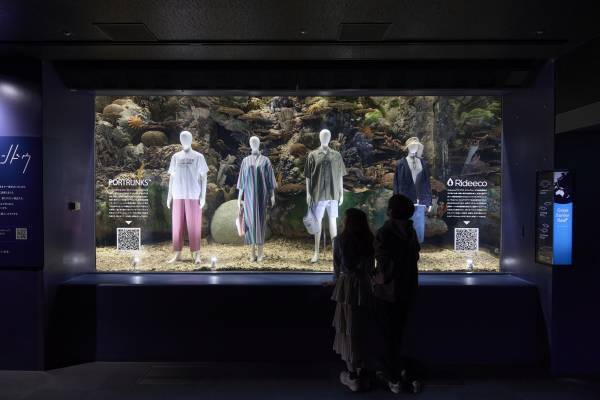 海遊館「サンゴショーウィンドウ」5/12～14の3日間限定で開催