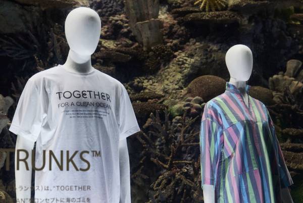 海遊館「サンゴショーウィンドウ」5/12～14の3日間限定で開催