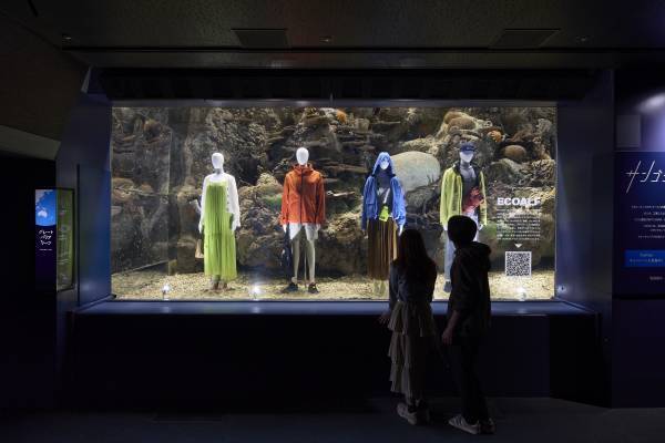 海遊館「サンゴショーウィンドウ」5/12～14の3日間限定で開催