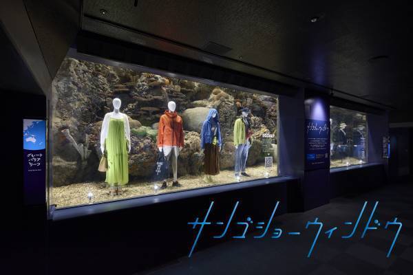 海遊館「サンゴショーウィンドウ」5/12～14の3日間限定で開催
