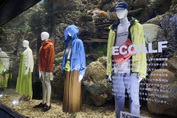 海遊館「サンゴショーウィンドウ」5/12～14の3日間限定で開催