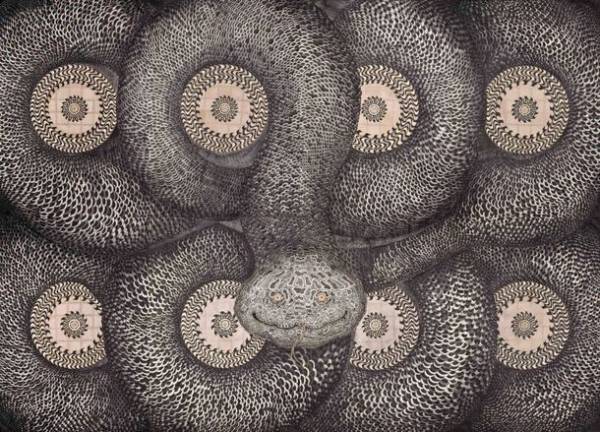 常陸国出雲大社 御鎮座30周年記念　「金子富之展　宇宙蛇の夢」を開催