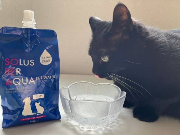 ≪猫の飼い主様必見！≫猫の尿路結石や腎臓病等に配慮したミネラル成分ゼロの飲用水「ソペア」、アンケート調査で猫の飼い主の関心が集まる