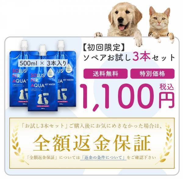 ≪猫の飼い主様必見！≫猫の尿路結石や腎臓病等に配慮したミネラル成分ゼロの飲用水「ソペア」、アンケート調査で猫の飼い主の関心が集まる