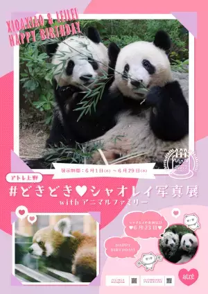 アトレ上野×シャオシャオレイレイ誕生日記念！#どきどきシャオレイバースデー　約200点以上の写真がアトレ上野館内をジャック！