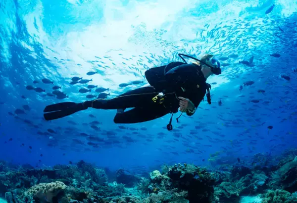 サウジアラビア政府観光局　5月25日開催の「サウジアラビア・ロードショー」が成功裡に終了