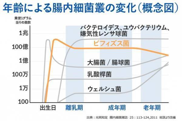 ＜第2弾＞60～80代男女に聞いた！『シニアの便通実態調査2023』　“ミイラ便”は、全身不調や見た目・幸福度にまで影響する！？便秘気味の人の約8割が「生活に支障あり」