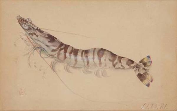 かわいい子猫からリアルな虫まで企画展「大好き　印象の動物・鳥・昆虫」(Beloved! Animals, Birds, Insects of Insho's World)　京都府立堂本印象美術館　6月17日(土)～11月23日(木・祝)開催