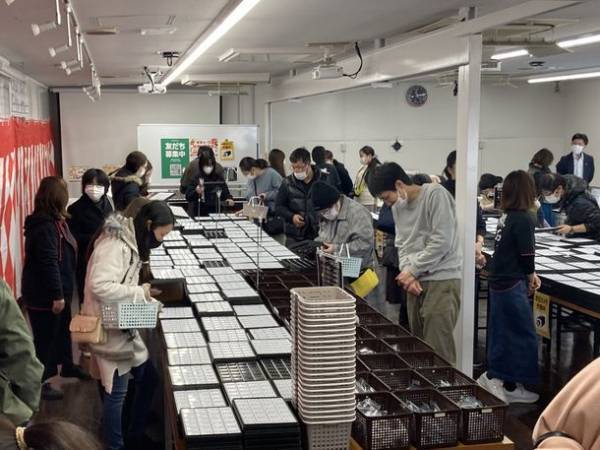 8月14日は「裸石の日」！宝石ルースを扱う日本最大級のショップ「東洋ルース」が制定し日本記念日協会が認定！物価高の時代に1点500円からの販売で“ルースブーム”到来中！