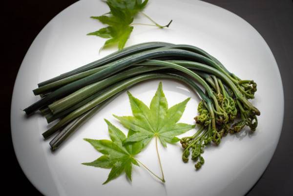 岩手・湯川温泉「山人-yamado-」　地元特産「西わらび」の最高品質『黒わらび』の水煮を販売！6月30日まで自社お取り寄せ通販サイトにて