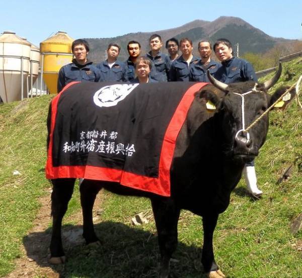 「THE JUNEI HOTEL 京都」併設レストラン「肉割烹ふたご」、希少な京都牛と、和食の真髄を届ける最高峰 肉割烹の「京都牛」フルコース提供開始