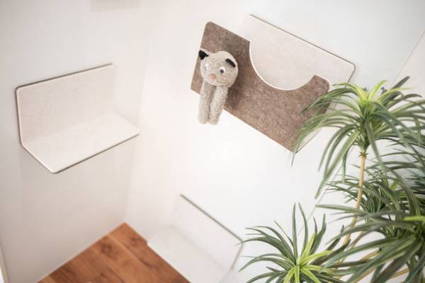 ペットと飼い主、マンションオーナーに寄り添う「INSIGHT REPOS 御所西」が誕生