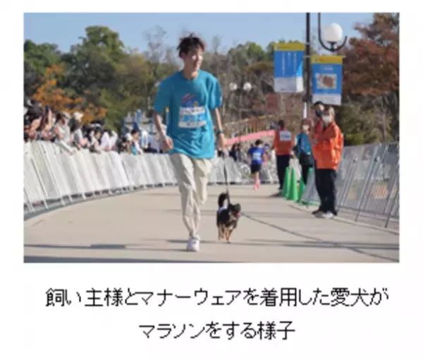 マナーウェア「GO WITH わんこ プロジェクト」第3弾　北海道ボールパーク F ビレッジに「ユニ・チャーム DOG PARK」をオープン