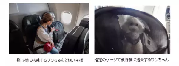 マナーウェア「GO WITH わんこ プロジェクト」第3弾　北海道ボールパーク F ビレッジに「ユニ・チャーム DOG PARK」をオープン