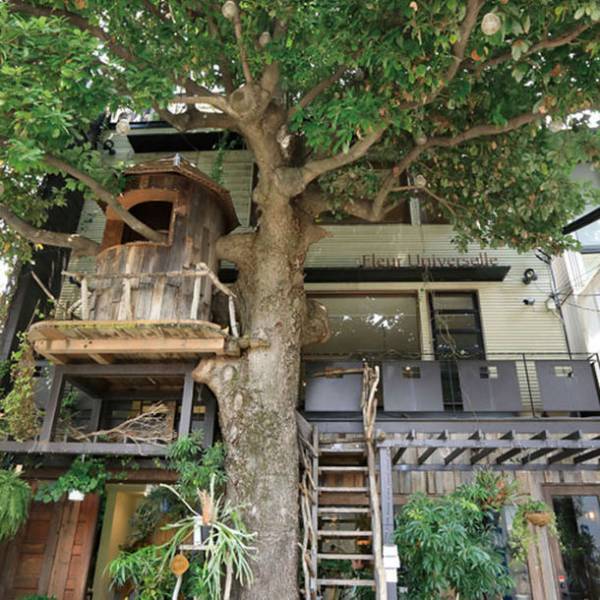 MCTオイル採用メニューが続々スタート！