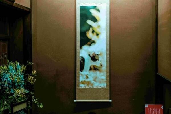 保護猫写真展“Cat's moment of truth”-猫たちの「まなざし」は問いかける-を共同通信社 本社ビル(東京・汐留)にて6月30日まで開催