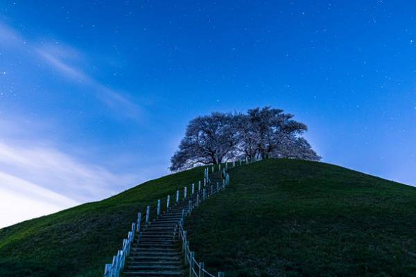 第20回秩父鉄道写真コンテスト応募開始！6/1(木)～7/31(月)　入賞作品の中から来年のカレンダーを作成