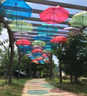 うずしおクルーズ雨の日キャンペーン　淡路島初!?渦潮レインアート＆福良アンブレラガーデン　6月5日より道の駅福良に登場