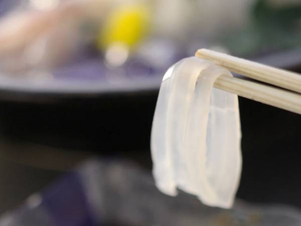 京都・丹後半島の夕日ヶ浦温泉　佳松苑グループ創業55周年　～14年ぶりの活イカプランへの挑戦、特典満載の55周年特別プラン～