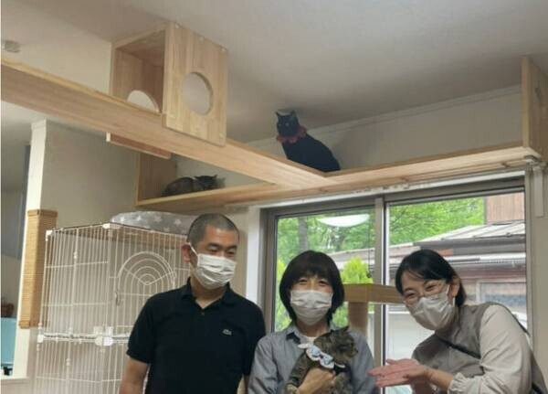 ネコさまリフォームの先駆け櫻建設、猫の安全・安心のためには完全室内飼育が必須。猫と快適に暮らせる部屋・家づくりとは！改築後の16頭の猫と暮らす保護活動家を訪ねて