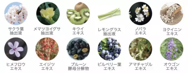 2023年6月5日(月)に新発売！やわらかくハリ感のある透明肌に整える美容液がホメオバウから誕生