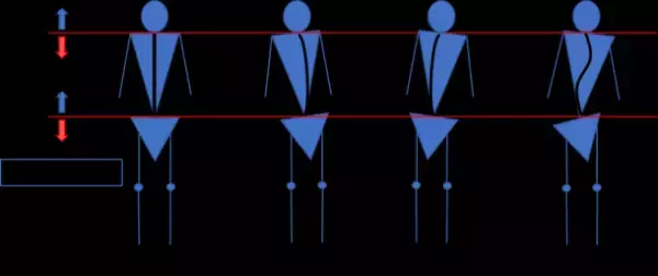 非接触型姿勢測定システム「BAS Fit」を活用した姿勢測定による意識行動の変容の検証