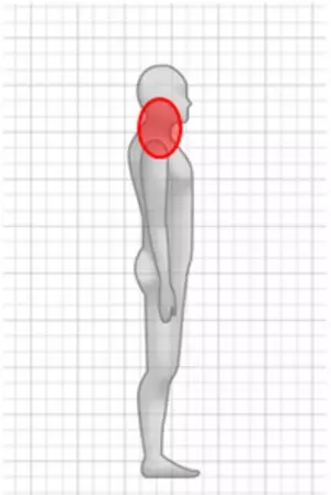 非接触型姿勢測定システム「BAS Fit」を活用した姿勢測定による意識行動の変容の検証