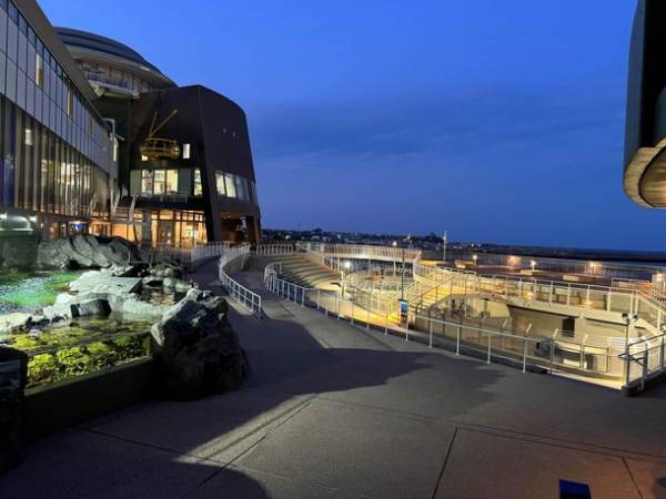 『NIGHT AQUAWORLD』～生き物たちの誕生日スペシャル～　6月17日(土)・24日(土)18:00より開催