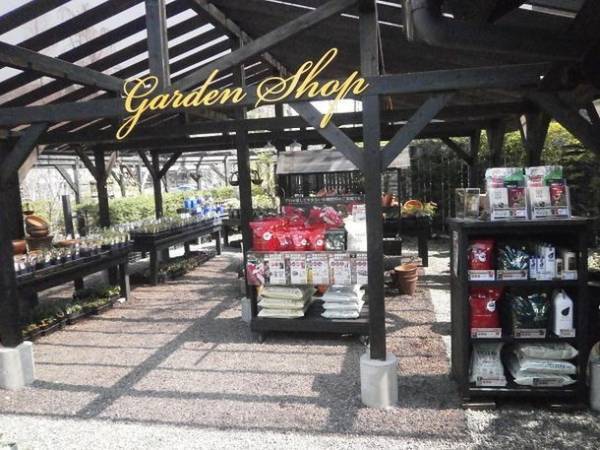 軽井沢レイクガーデン6月16日よりローズシーズンがスタート　モーニングローズデイは朝7時から営業！