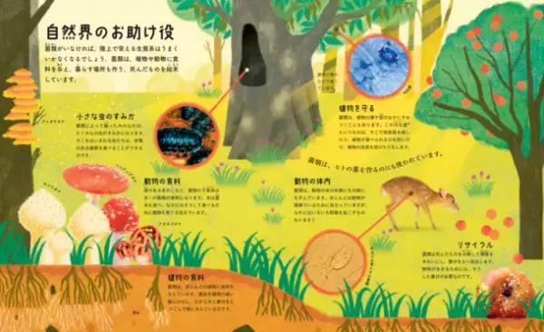 世界トップクラスの菌類生態学者が解説したイラストブック！『奇妙で不思議な菌類の世界』が発売