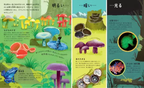 世界トップクラスの菌類生態学者が解説したイラストブック！『奇妙で不思議な菌類の世界』が発売