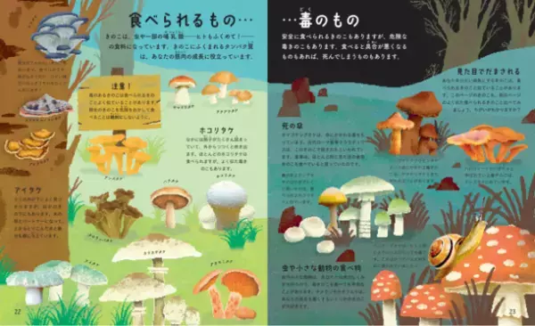 世界トップクラスの菌類生態学者が解説したイラストブック！『奇妙で不思議な菌類の世界』が発売