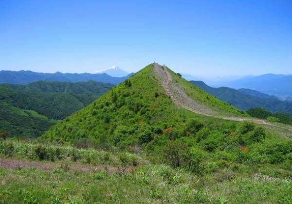 標高1,350m！東京からも気軽に行けるリゾート地　長野県南牧村「飯盛山フラワーウィーク」のイベントを6月20日(火)～7月10日(月)開催