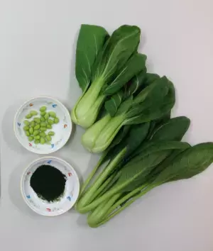 未来を担う次世代スーパーフード“藻”を通じて食料危機を学ぶ　世界初“藻”を使った“グリーン給食”6/13(火)静岡県袋井市にて提供