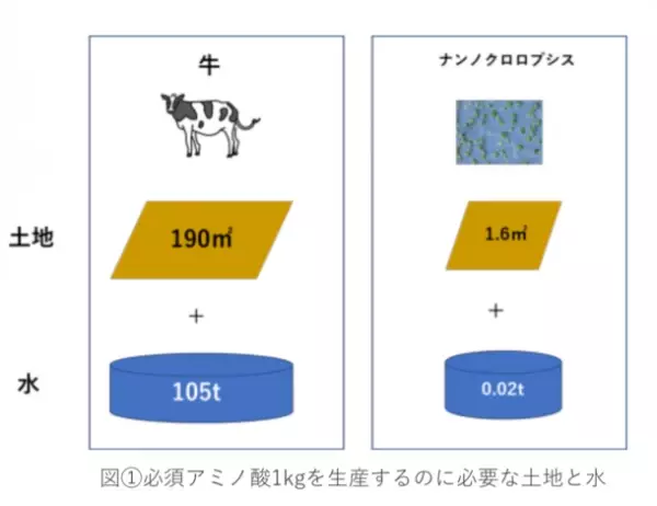 未来を担う次世代スーパーフード“藻”を通じて食料危機を学ぶ　世界初“藻”を使った“グリーン給食”6/13(火)静岡県袋井市にて提供