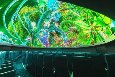TENDREを迎え、初のLEDプラネタリウムライブを開催『LIVE EXPERIENCE of DYNAVISION-LED』