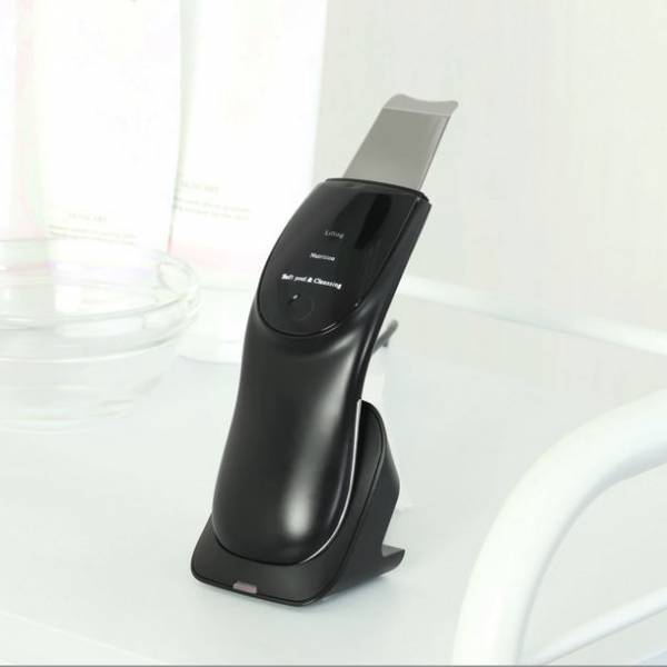 千葉県富津の愛犬と泊まれる一棟貸しドッグコテージ　6月1日にクラウドファンディングを開始