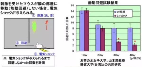 全能免疫調整ハブサプリメントを新発売！DS BIO LABO生命の黄金