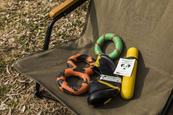 かわいくて丈夫なアメリカ製愛犬用おもちゃの輸入販売を開始　～天然ゴム製の壊れにくいおもちゃGOUGHNUTS＜ゴーナッツ＞～