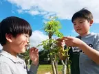 モリンガの森プロジェクト協会が沖縄県宮古島市と連携し7月4日より学校植樹をスタート！　～「モリンガチャレンジ」始動～