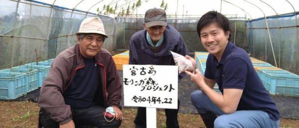 モリンガの森プロジェクト協会が沖縄県宮古島市と連携し7月4日より学校植樹をスタート！　～「モリンガチャレンジ」始動～